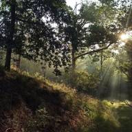 Innerlijk landschap