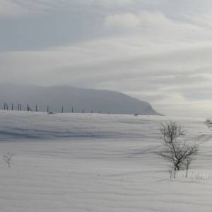 Onder een dikke deken sneeuw