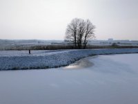 Beelden van leven