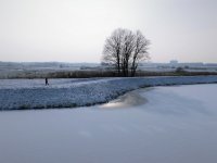 Beelden van leven