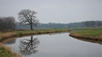 Beelden van leven