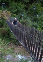 Beelden van leven