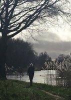 Beelden van leven