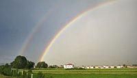 Beelden van leven