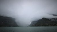 Beelden van leven